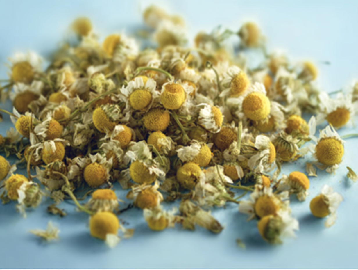 Chamomila Flowers, Chamomile Calmin, Chamomile, Sleep