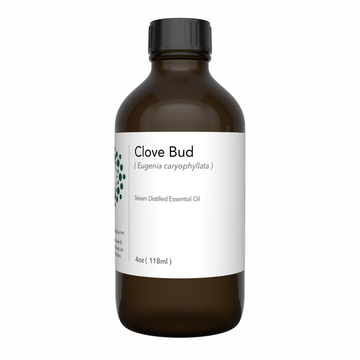 clove oil - clove essential oil, clove bud oil