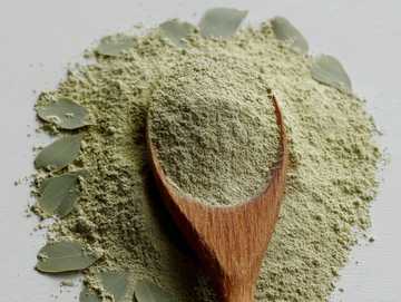 eucalyptus tree leaves - eucalyptus flower, fresh eucalyptus 