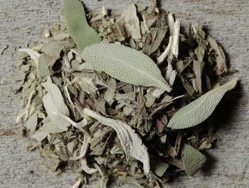 sage plant, sage herb plant,
