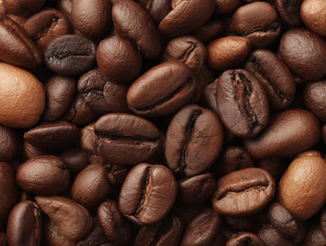 Coffe Bean Oil 