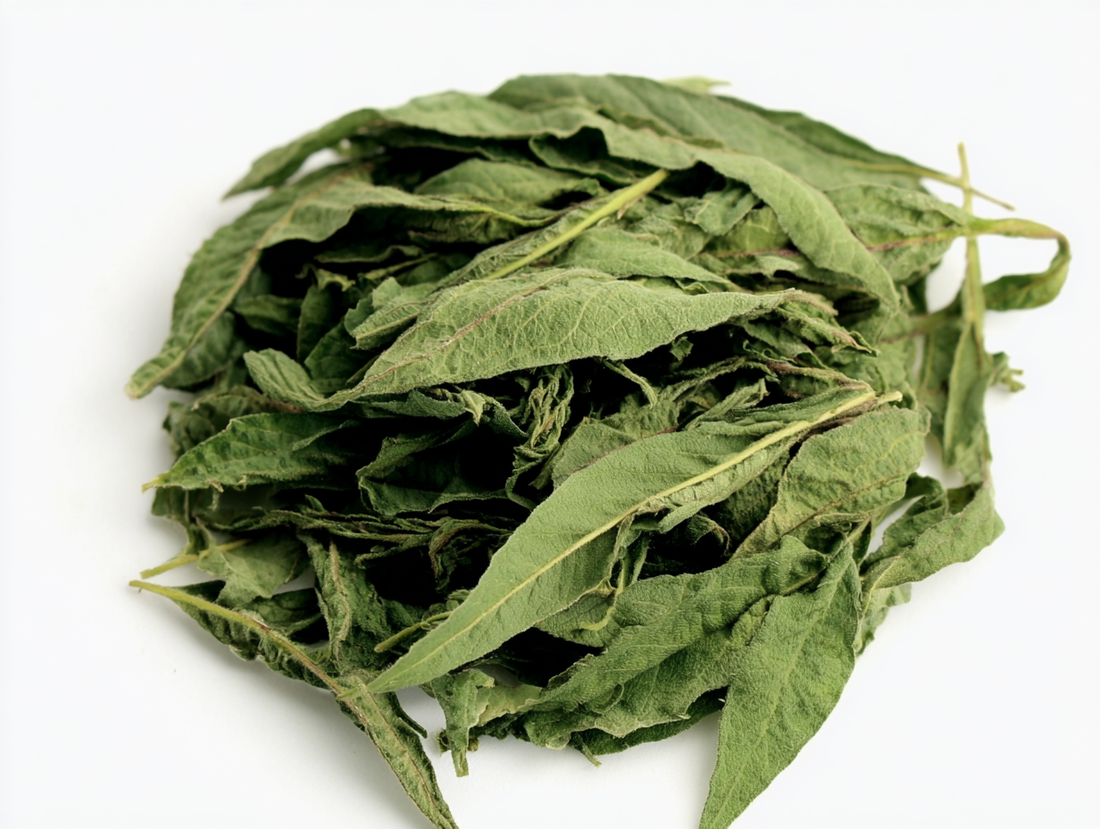 lemon verbena seeds - dried lemon verbena, fresh lemon verbena leaves