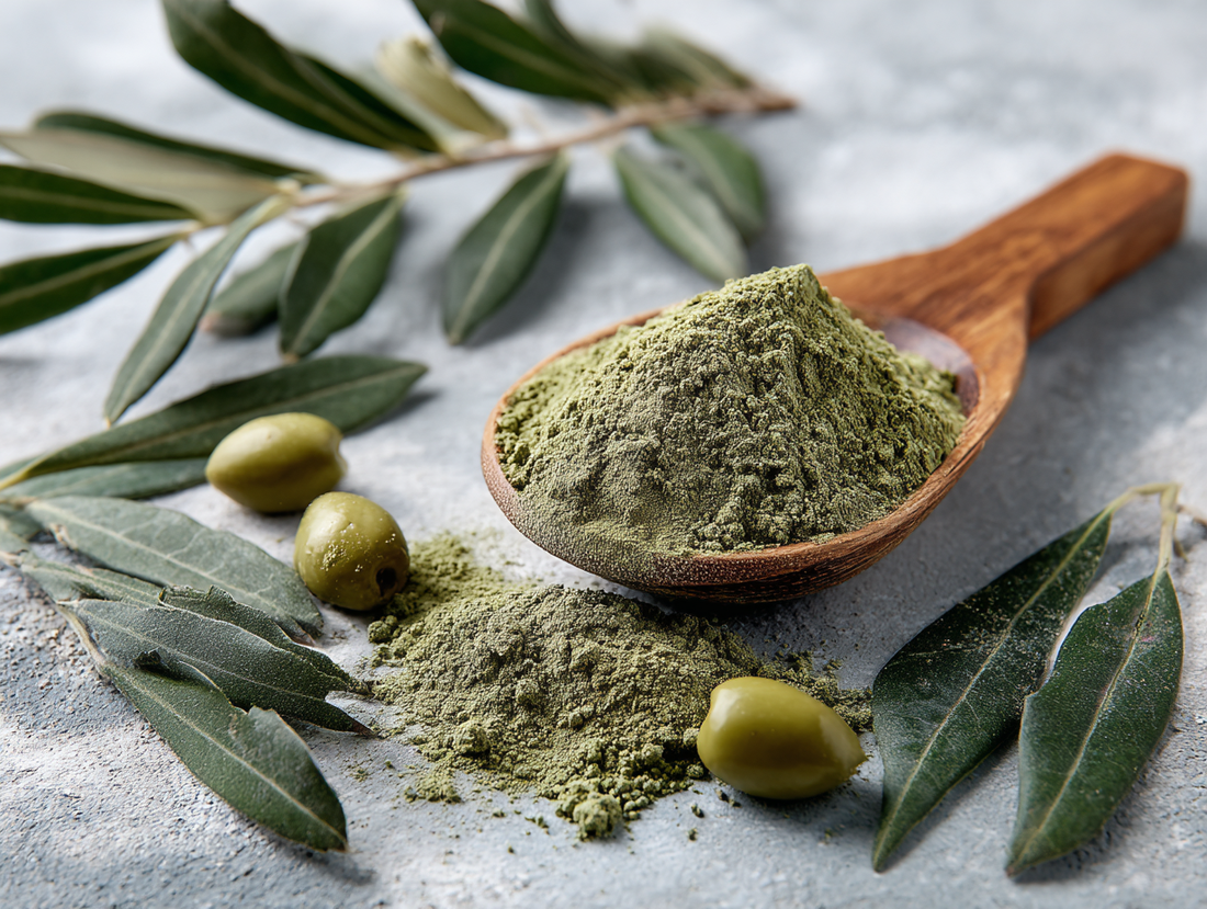 olive leaf powder 