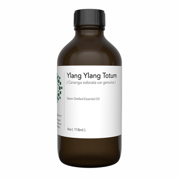 ylang ylang essential oil, ylang ylang scent, ylang ylang aroma oil