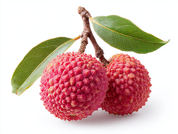 lychee perfume, lychee scented perfume, lychee fragrances, fresh lychee perfume