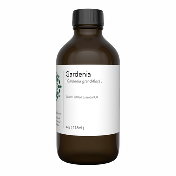 gardenia essential oil, gardenia oil, gardenia scented oil 