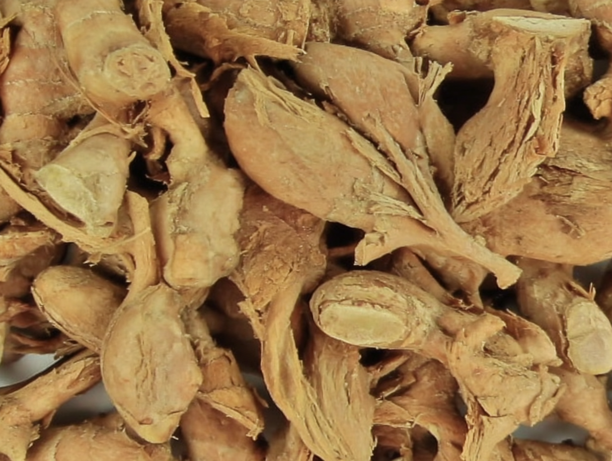fresh ginger root - ginger plant flower
