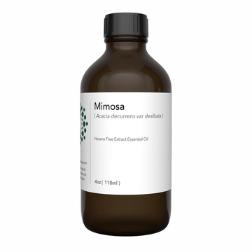 mimosa essential oil,  mimosa flower oil​, mimosa scent
