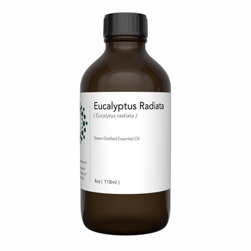 eucalyptus oil - eucalyptus essential oil, eucalyptus eo, best eucalyptus oil