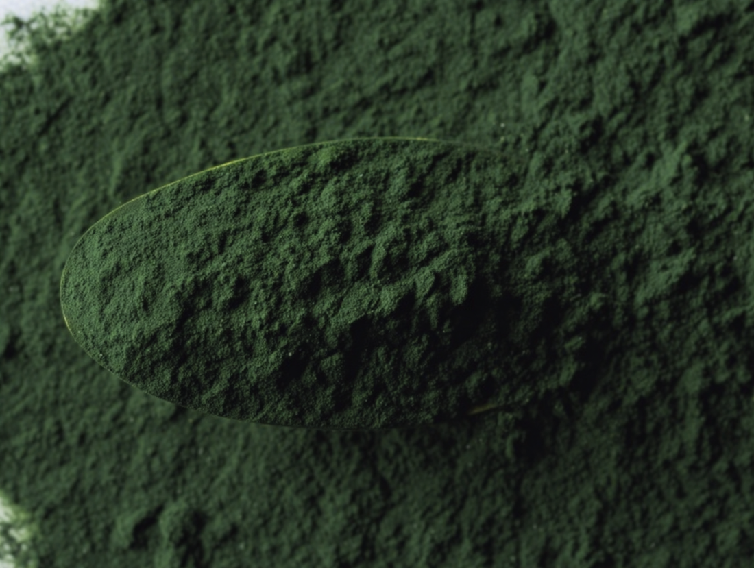 chlorella powder